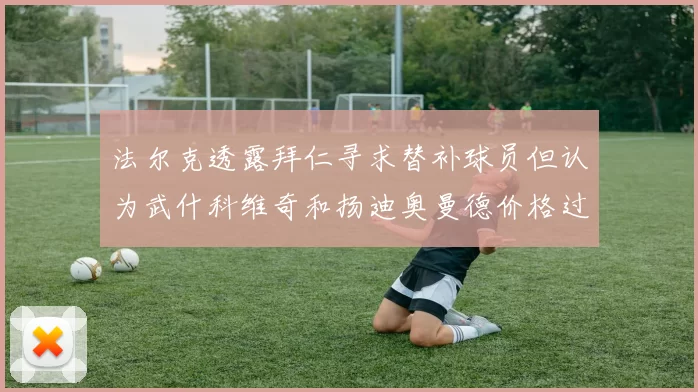 法尔克透露拜仁寻求替补球员但认为武什科维奇和扬迪奥曼德价格过高