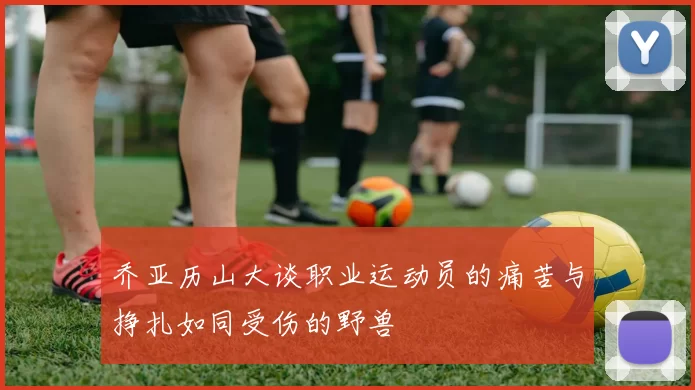乔亚历山大谈职业运动员的痛苦与挣扎如同受伤的野兽