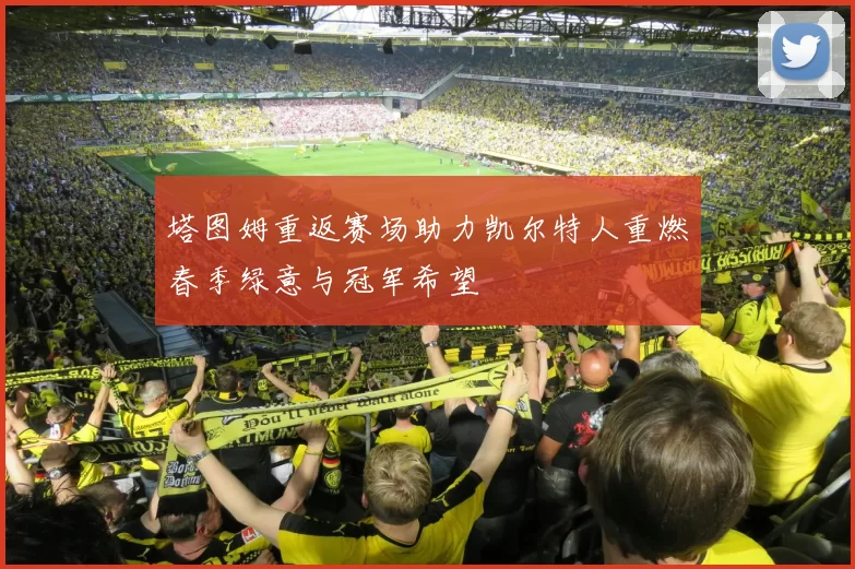 塔图姆重返赛场助力凯尔特人重燃春季绿意与冠军希望