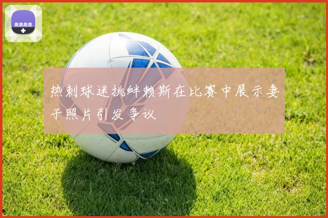 热刺球迷挑衅赖斯在比赛中展示妻子照片引发争议