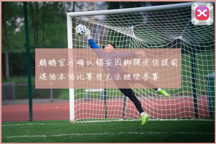 鹈鹕官方确认锡安因脚踝受伤提前退场本场比赛将无法继续参赛